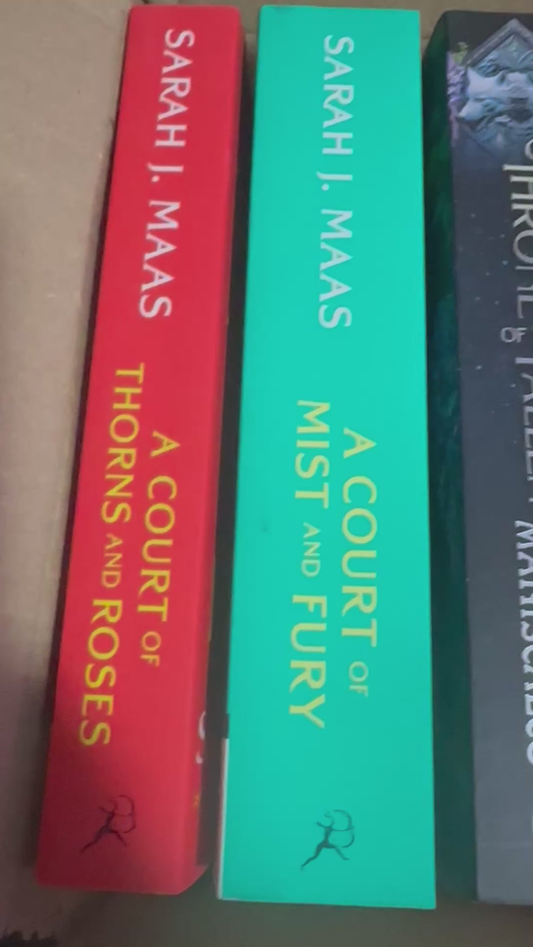 Blind Date With A Spicy Book - Plus